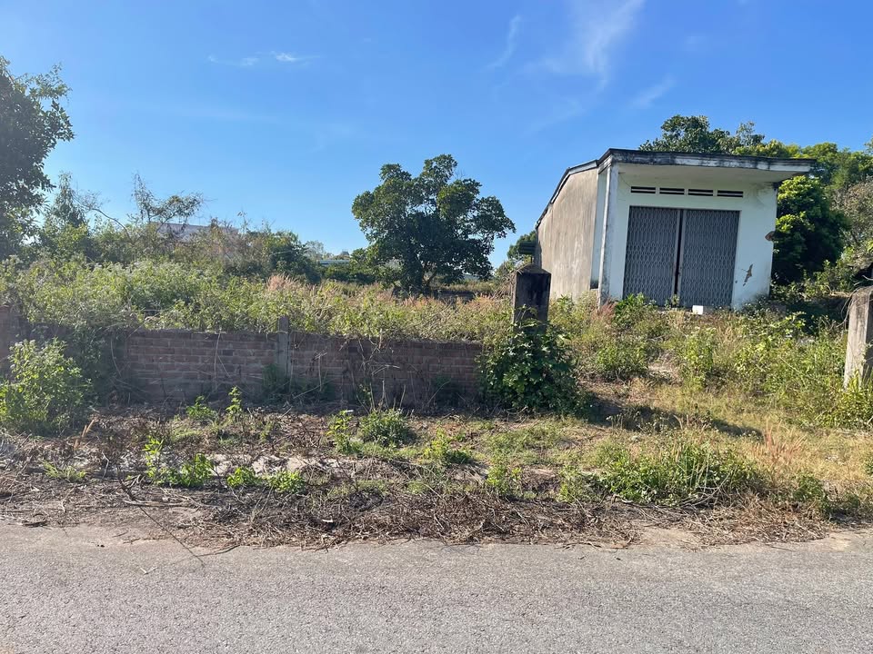 Đất Nền Huyện Ngọc Hồi 250m² Giá 3 tỷ - Đường Quy Hoạch 11m5