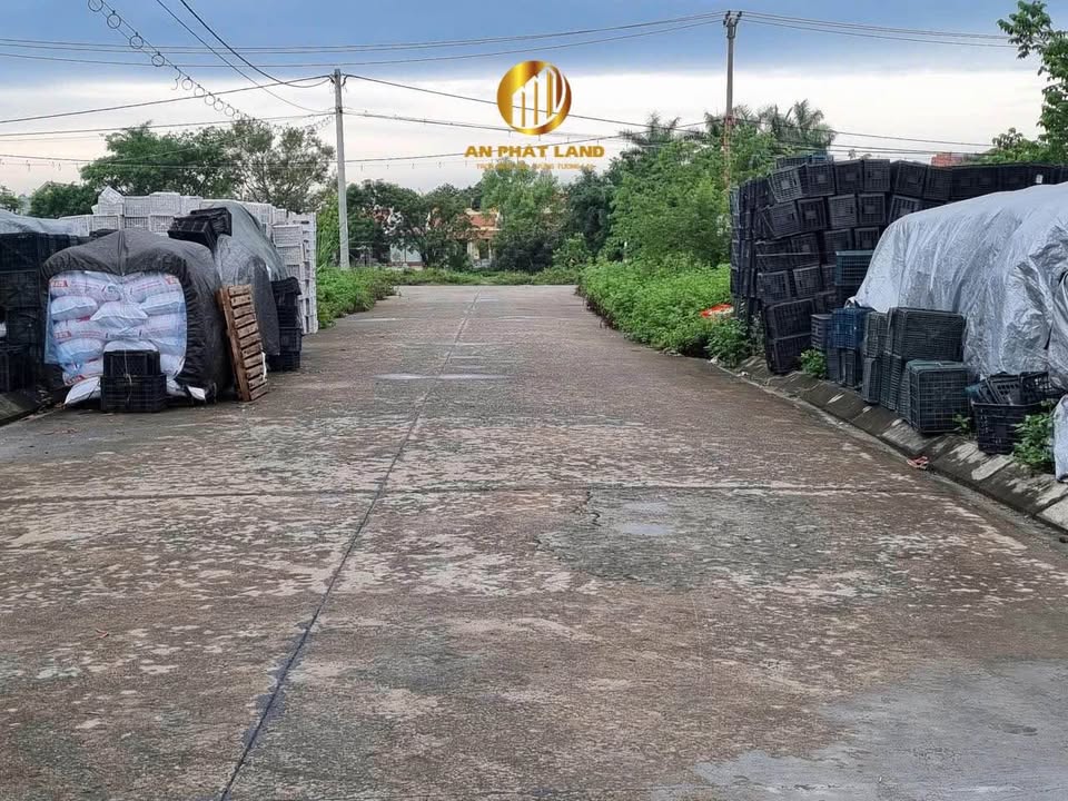 Đất nền liền kề ngõ 140 đường Trần Nhân Tông 228m² giá 8.7 tỷ - Đầu tư sinh lời hiệu quả!