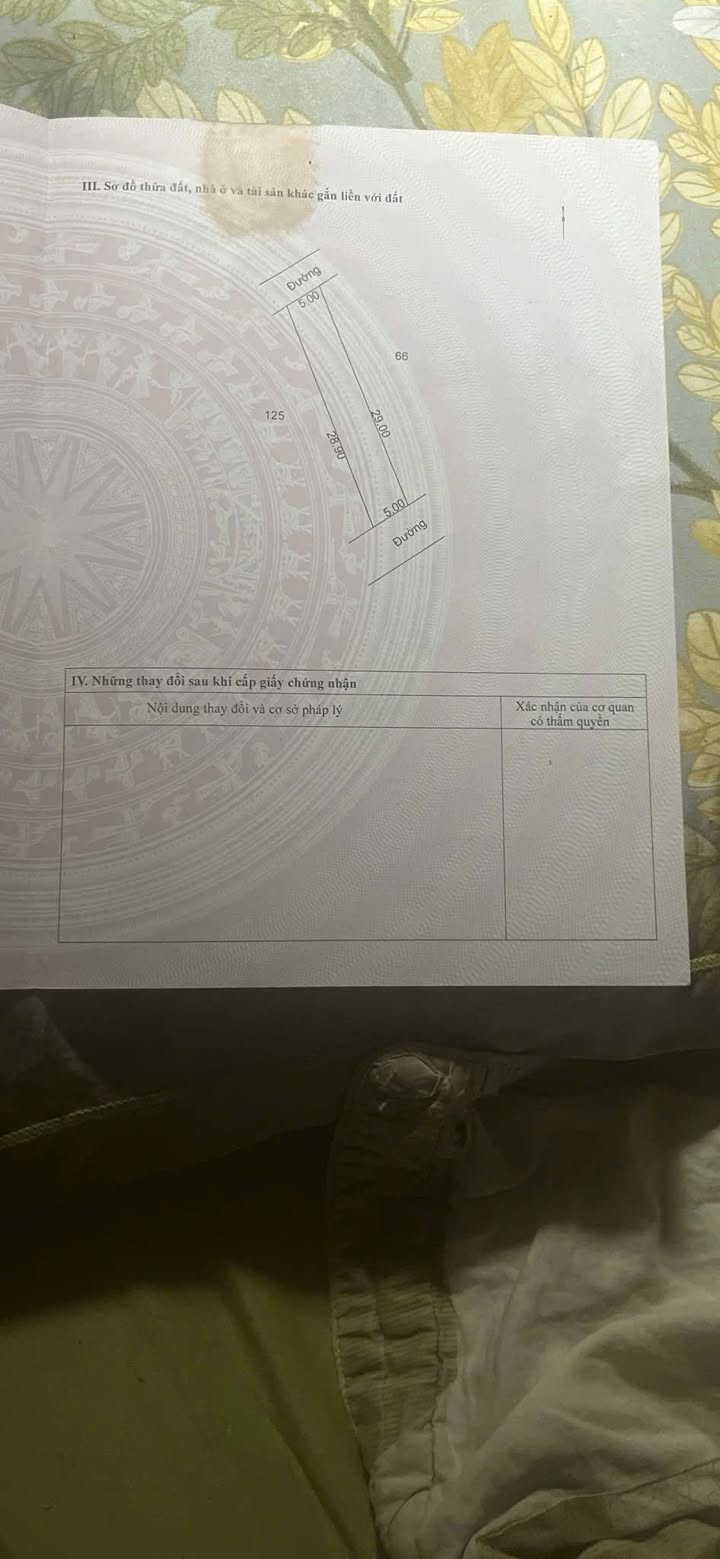 Đất nền Liên Nghĩa - Văn Giang 125m² giá 30-40 tỷ - Mặt tiền 5m, ô tô vào tận nơi!