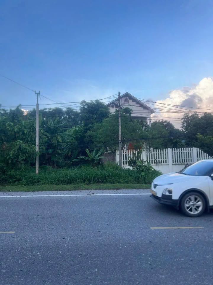 Đất mặt tiền Quốc lộ 32C, Huyện Hạ Hòa, 162m² giá 2.85 tỷ - Vị trí đắc địa cho kinh doanh!