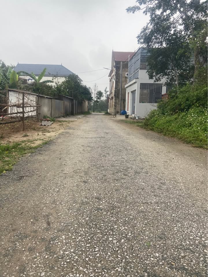 Đất nền 111.7m² phường Đông Vĩnh, TP Vinh giá chỉ 2.5 tỷ - Hướng Tây Nam thịnh vượng!