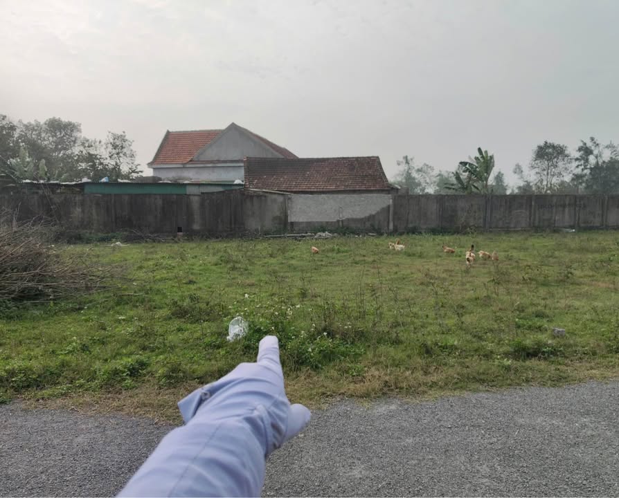 Đất nền lô góc 2 mặt tiền xã Nghi Trường 160m² giá 1.25 tỷ - Vị trí đắc địa cho đầu tư