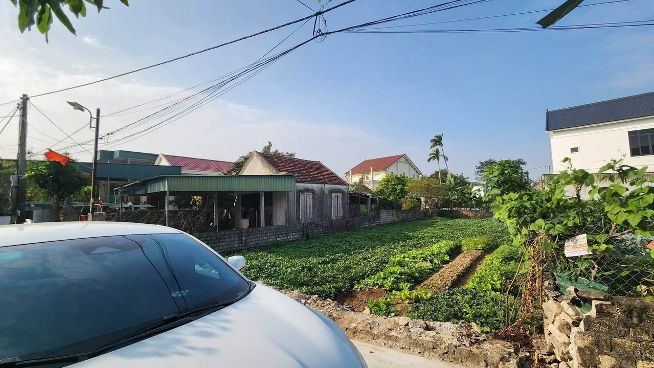 Đất ở xã Diễn Hồng, huyện Diễn Châu 160m² giá 1.5 tỷ - Sổ hồng chính chủ sang tên ngay!