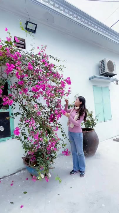 Nhà phố góc 3 tầng tại An Hải, Hải Phòng 50m² giá 3.55 tỷ - Không thể bỏ lỡ!