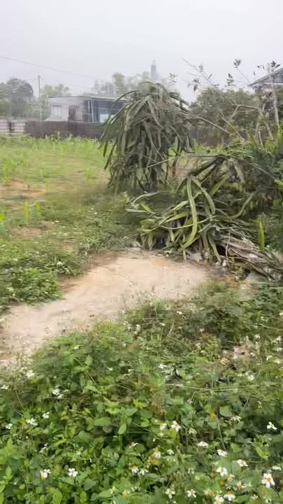 Đất thổ cư Xã Hải Nhân 300m² giá thỏa thuận - Đầu tư sinh lời lý tưởng!