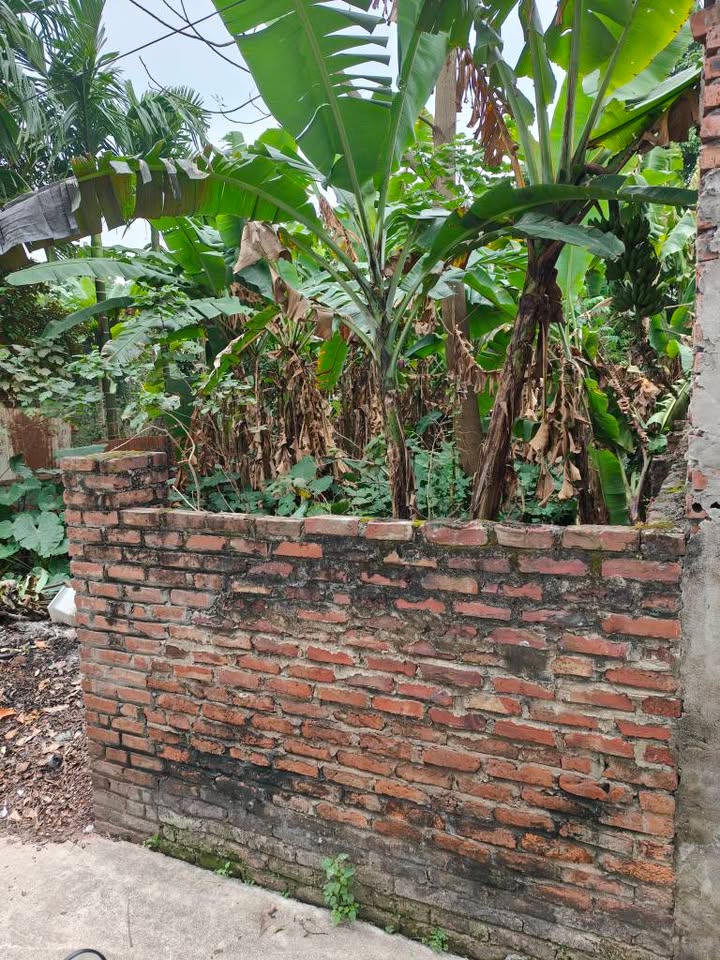 Đất nền Phú Thị Gia Lâm 63m² giá 3 tỷ - Mặt tiền khủng 6m!