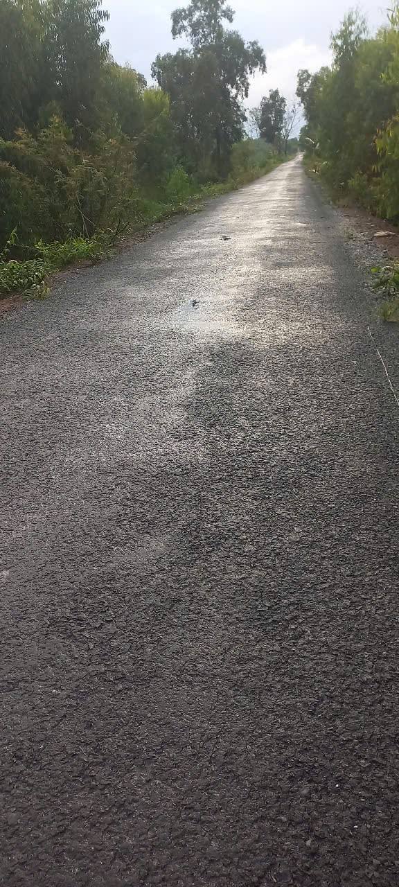 Đất nền 3500m² xã Tân Phước, huyện Tân Hồng, Đồng Tháp - Giá chỉ 880 triệu VND