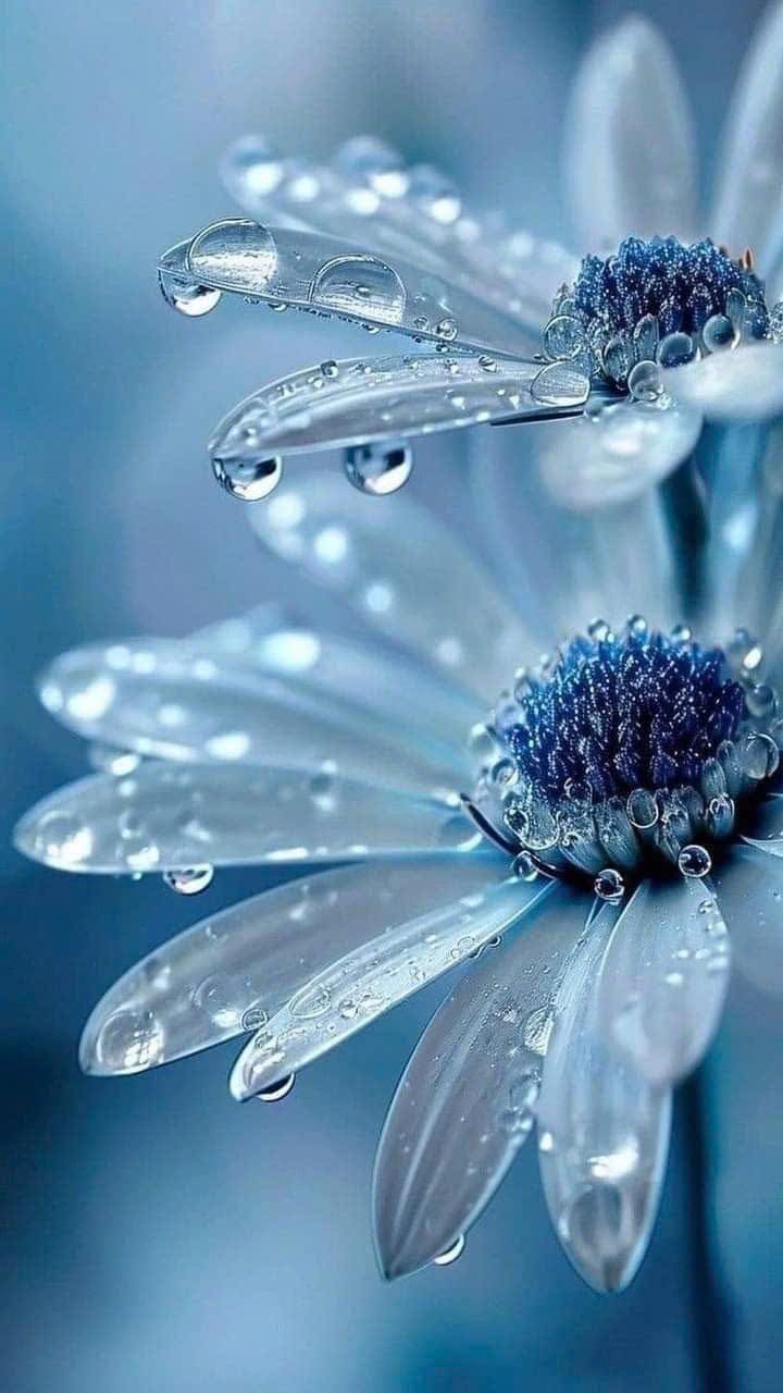 Đất nền 500m² tại Bầu Trâm, Long Khánh chỉ 850 triệu - Cơ hội đầu tư tuyệt vời!