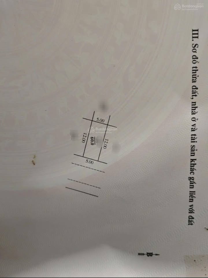 Đất đấu giá Mậu Lương, Hà Đông 60m² giá 15 tỷ - Kinh doanh đắc địa!