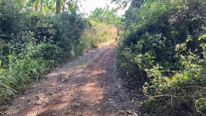 Đất nền Hưng Thịnh, Trảng Bom, 1000m², giá 600 triệu - Cơ hội đầu tư sinh lời!