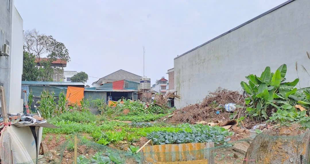 Đất thổ cư 140m² tại thôn 9, Hải Xuân - Sổ đỏ chính chủ, vị trí đắc địa!