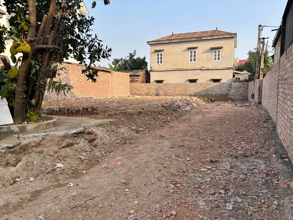 Đất nền 300m² tại xã Thanh Mai, huyện Thanh Oai - Cơ hội đầu tư hấp dẫn!