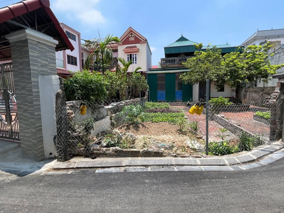 Đất ở Tiên Dương, Đông Anh 62m² giá 8x triệu - Sổ đỏ chính chủ, ô tô vào tận nơi!