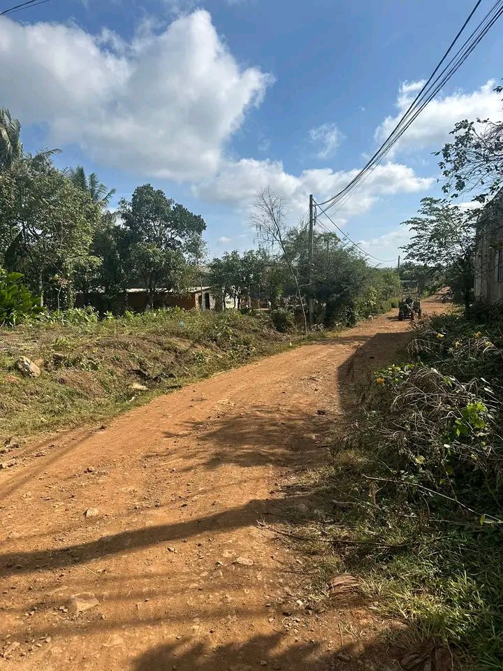 Đất thổ cư Huyện Ea Kar 310m² giá 1.6 tỷ - Đầu tư sinh lời ngay!