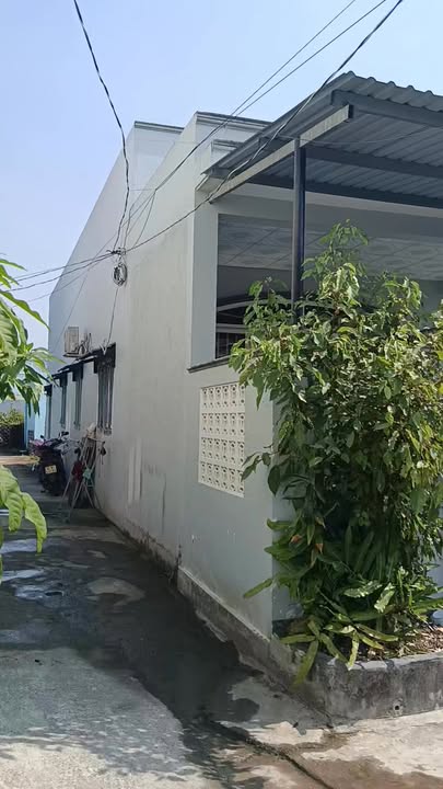 Nhà vườn Mỹ Lộc, Cần Giuộc 210m² giá 3.1 tỷ - Sổ hồng chính chủ, thương lượng