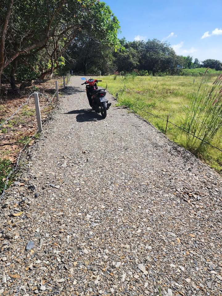 Đất nền Phước Tân - Xuyên Mộc - 125m² giá 600 triệu - Cơ hội đầu tư hấp dẫn!