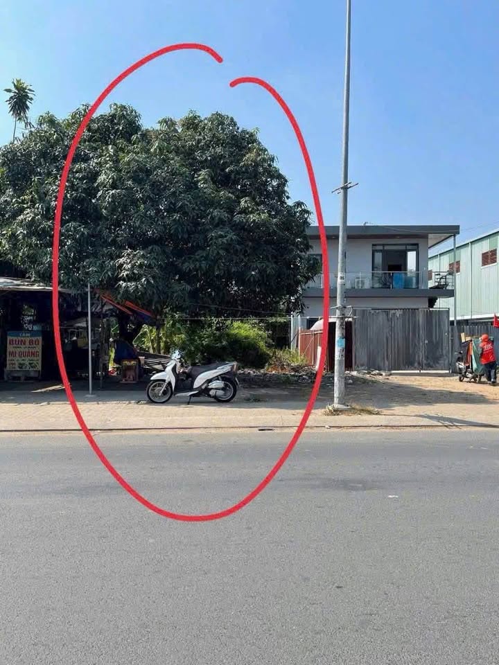 Đất mặt tiền đường Lại Hùng Cường, Bình Chánh 234m² giá 12.5 tỷ - Đầu tư sinh lời ngay!