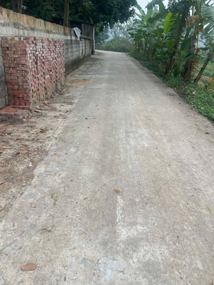 Đất nền Hợp Châu, Tam Dương 132m² giá 1 tỷ - Đầu tư sinh lời ngay!