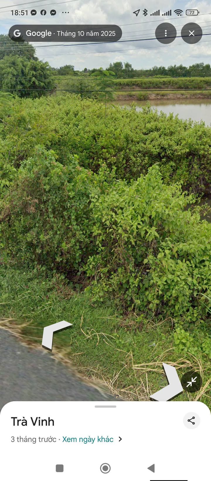 Đất nền đầu tư ấp 11, xã Long Hữu, 20.000m² - Cơ hội vàng cho nhà đầu tư!