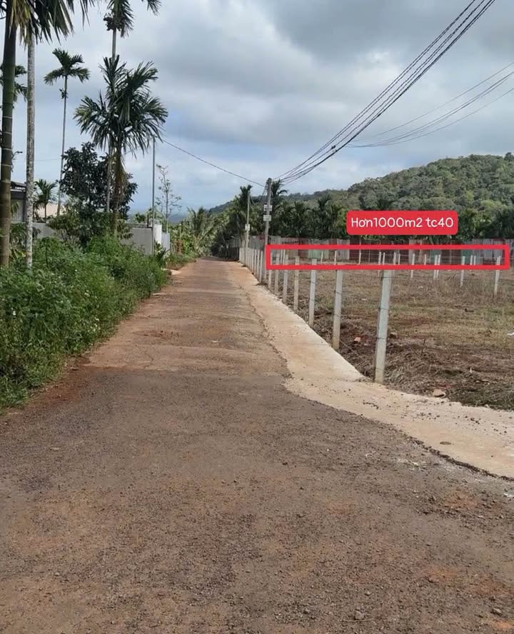 Đất thổ cư Hòa Thắng, Buôn Ma Thuột 1000m² giá 2.29 tỷ - Pháp lý rõ ràng, đầu tư sinh lời!