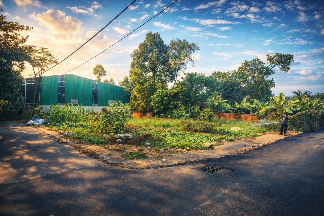 Lô đất thôn Hòa Trúc, Quốc Oai 251m² giá đầu tư - Phong thủy đẹp!