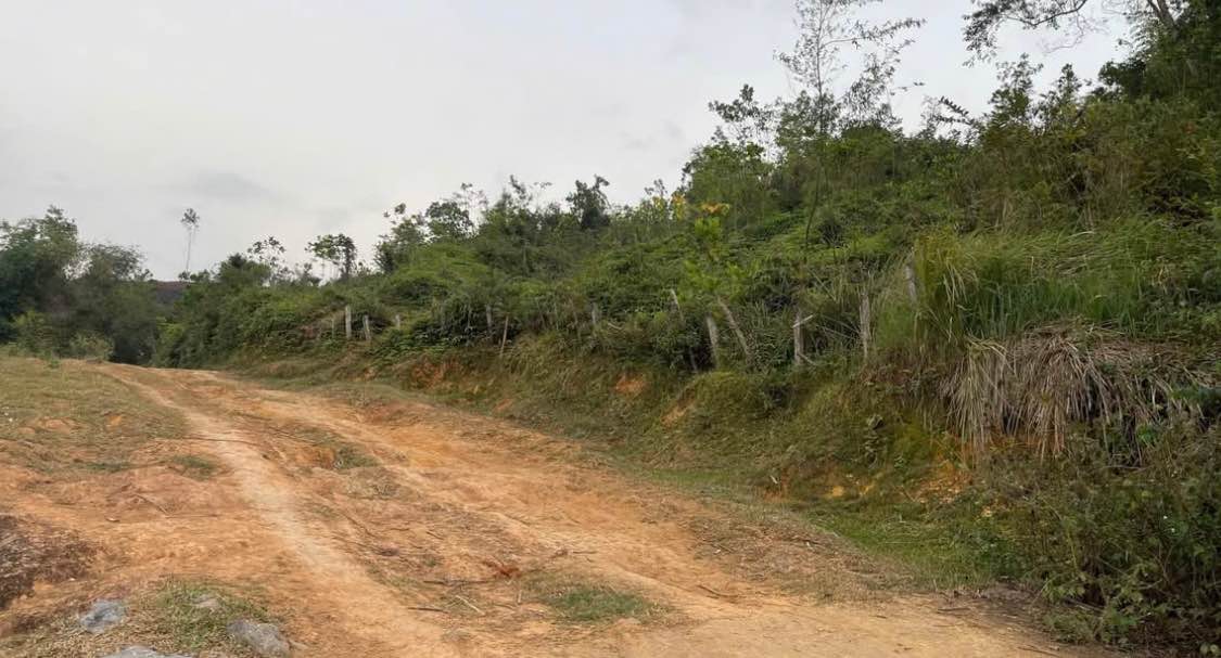 Đất Farm 4000m² tại Lạc Sơn, Hòa Bình chỉ 1,5 tỷ - View Hồ tuyệt đẹp!