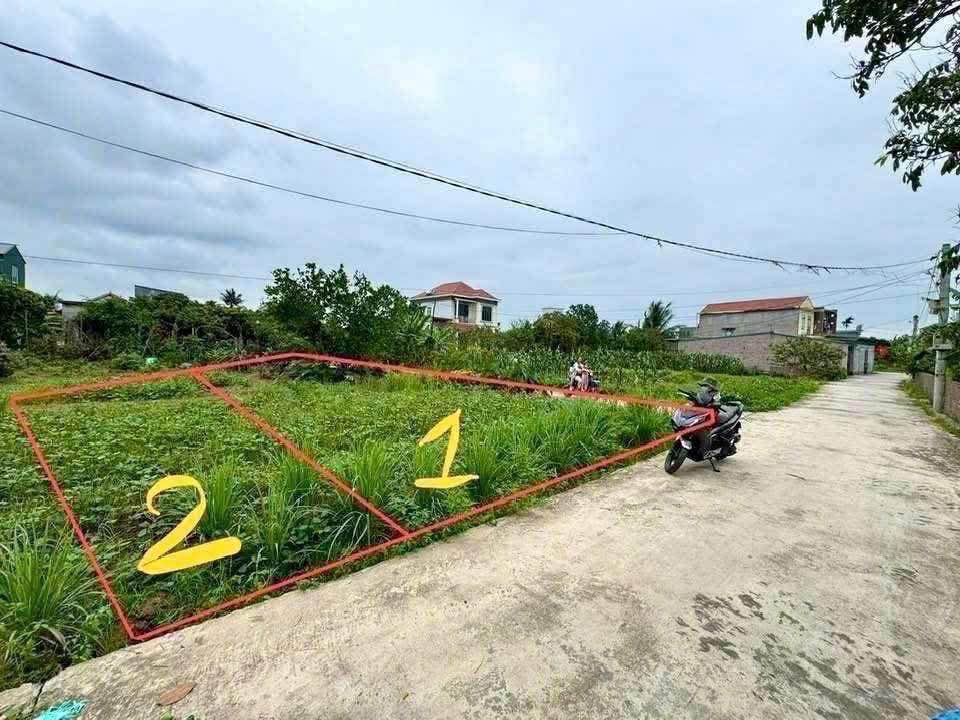 Đất nền Thanh Sơn - Thanh Hà 120m² giá thỏa thuận - Cơ hội đầu tư hấp dẫn!