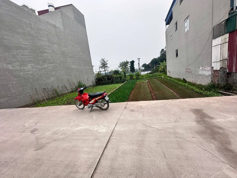 Đất nền Phú Bến, Thụy Hương 75m² giá 4 tỷ - Sổ hồng chính chủ, phong thủy tốt!