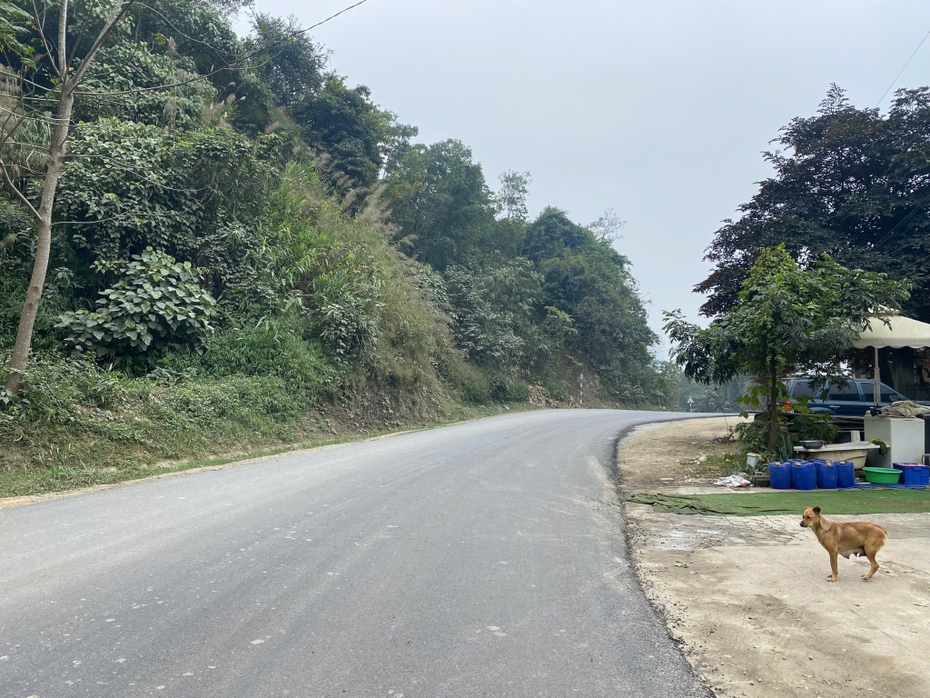 Đất mặt đường liên huyện Lương Sơn đi Kim Bôi 338m² giá 4 tỷ - Cơ hội đầu tư tuyệt vời!