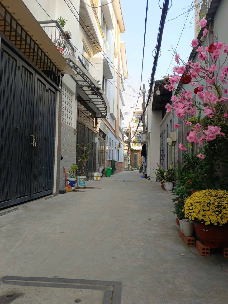 Nhà hxh Phạm Văn Chiêu, Gò Vấp 40m² giá 4.95 tỷ - Vị trí đẹp, sẵn sàng ở ngay!