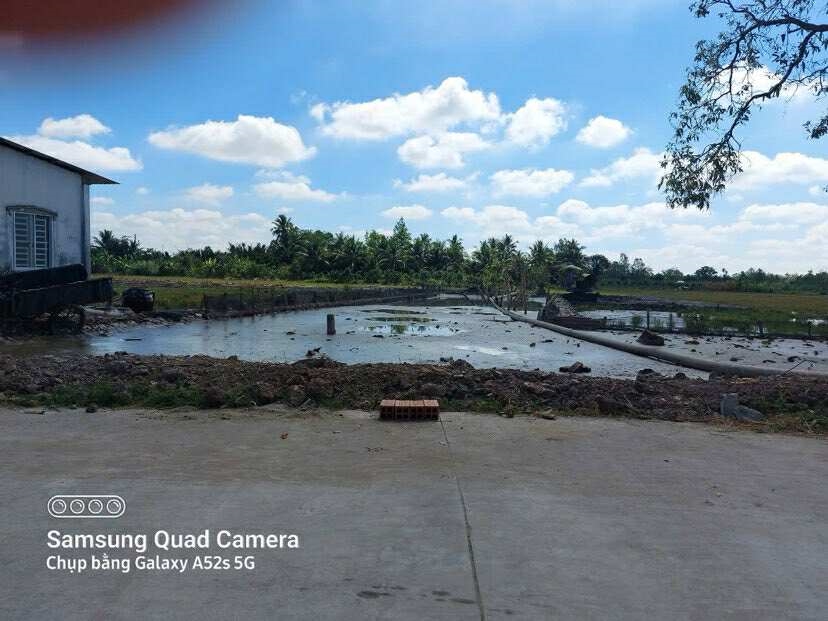 Đất thổ cư 1.700 m² tại Thới Hưng, Cần Thơ - Giá 3,7 tỷ - Tiềm năng đầu tư lớn!