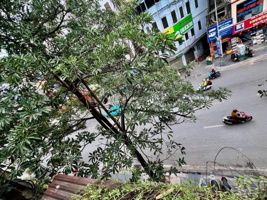 Bán đất 215m² tặng nhà 5 tầng mặt phố Thanh Nhàn, Hai Bà Trưng - Đầu tư sinh lời bền vững!