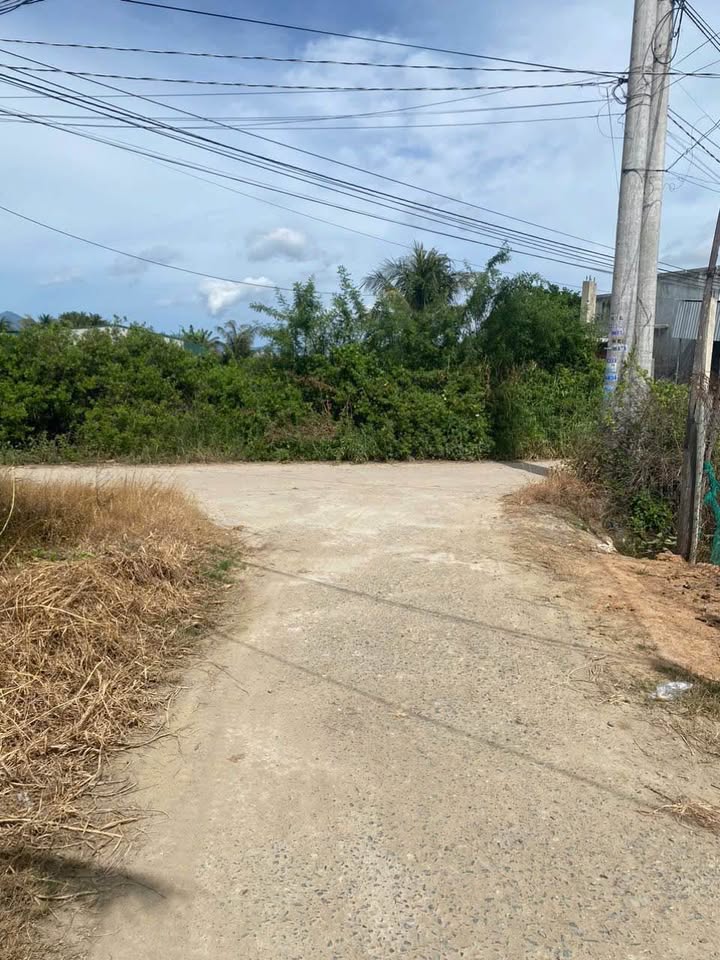 Đất vườn Khu phố 3 Văn Hải 301m² giá 650 triệu - Pháp lý rõ ràng