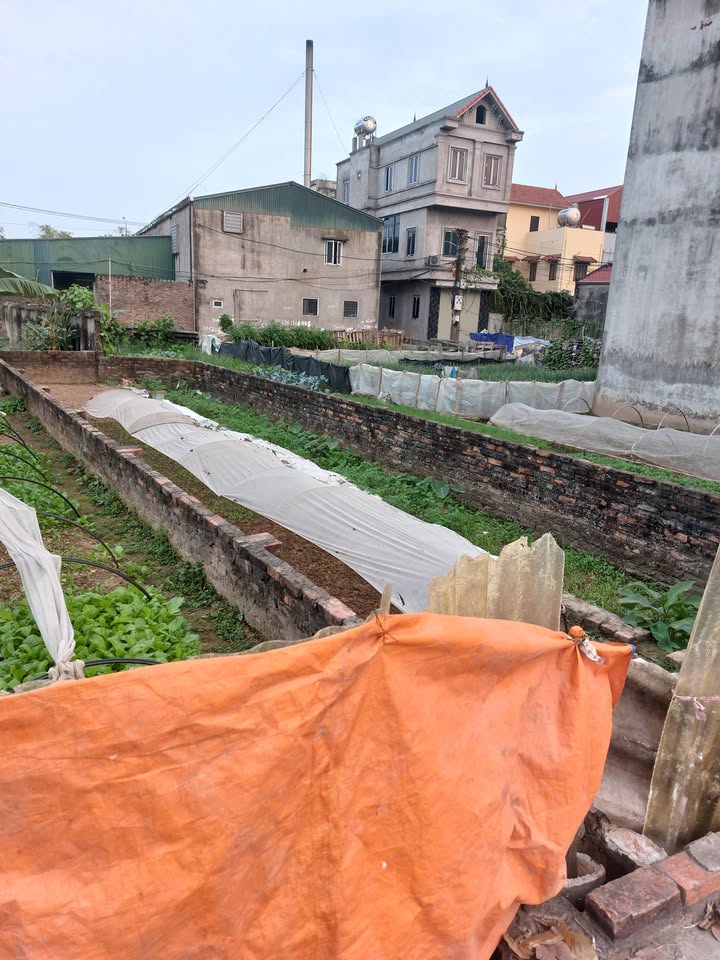 Đất nền tại Mai Lâm, Đông Anh 47m² - Vị trí đẹp, tiềm năng tăng giá!