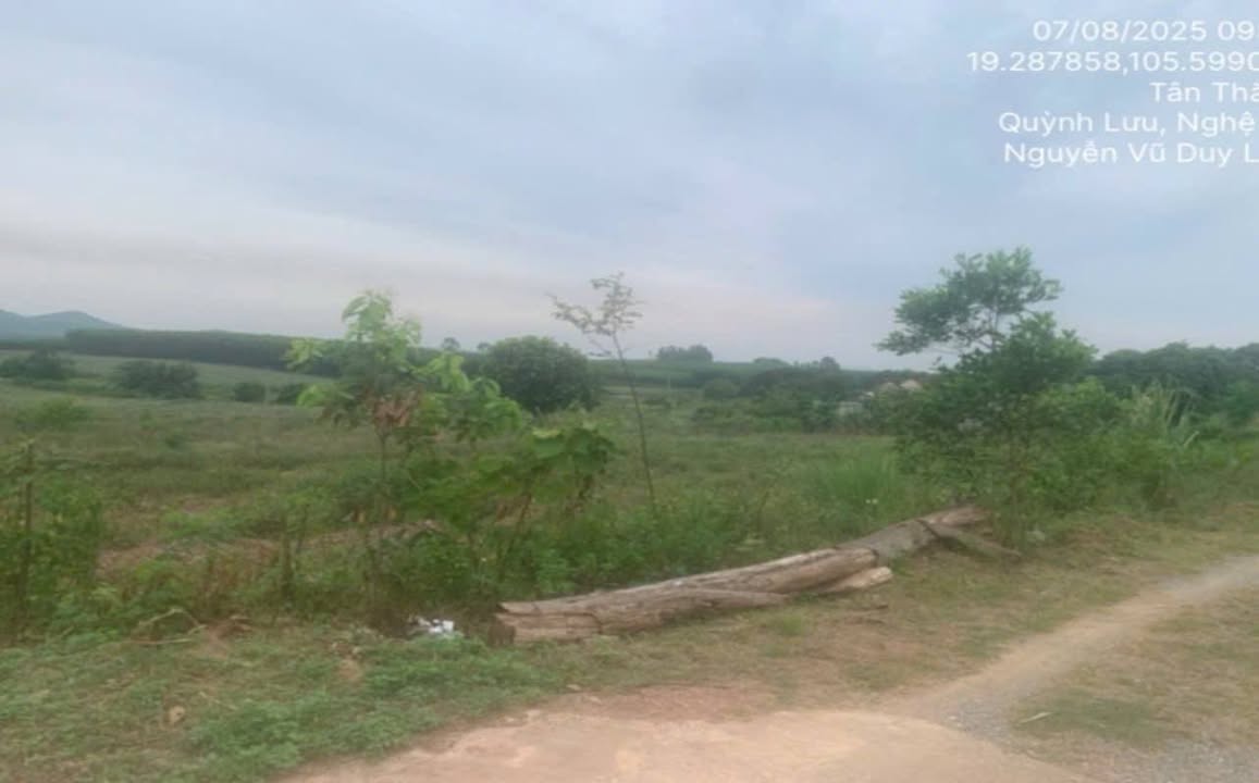 Đất nền xã Quỳnh Thắng, Huyện Quỳnh Lưu, 5010.8m² - Đầu tư sinh lời ngay!