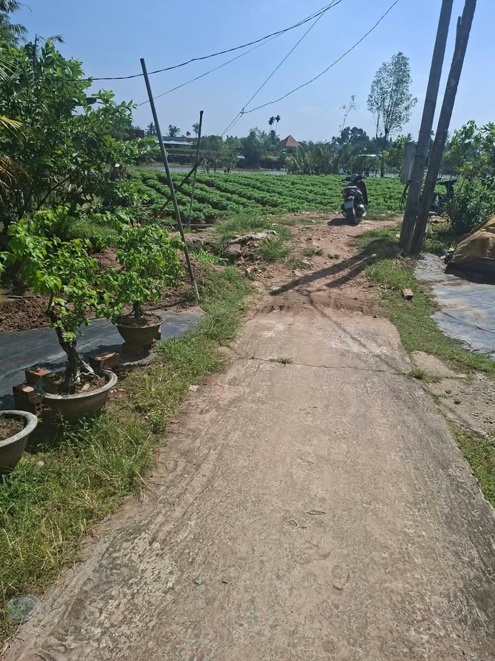 Đất thổ cư Xã Phú Sơn 1550m² giá chỉ 1.3 tỷ - Cơ hội đầu tư tuyệt vời!