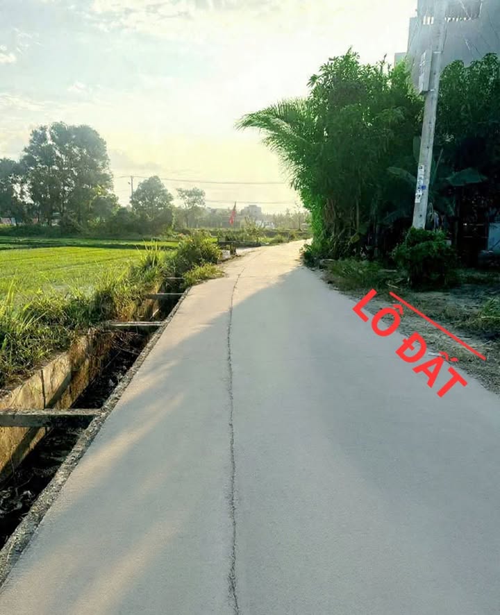 Đất nền Cẩm Thanh 142m² giá 4.2 tỷ - Thích hợp xây dựng nhà 3 tầng