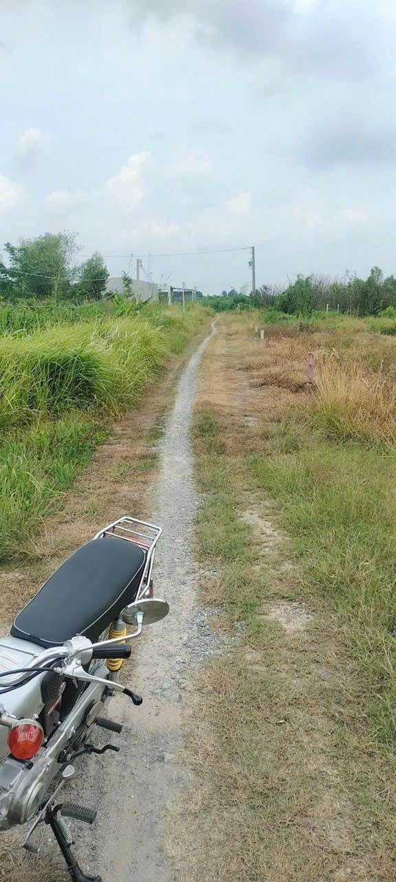 Đất nền Phường Long Hoa, Thị xã Hòa Thành, 575m², giá 1.25 tỷ - Sổ đỏ chính chủ