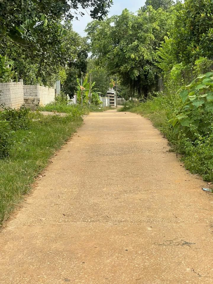 Đất nền thổ cư xã Thọ Tân 160m² giá chỉ 2xx triệu - Sổ hồng chính chủ!