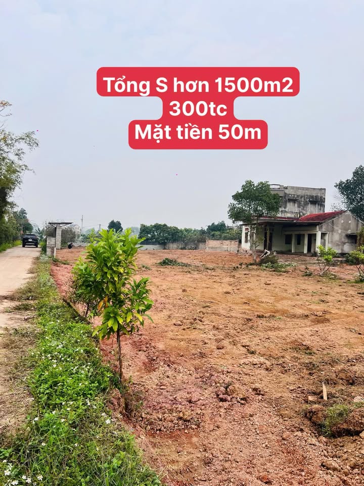 Đất nền Tân Hưng, Lạng Giang 900m² giá chỉ 4 triệu/m² - Cơ hội đầu tư hiếm có!