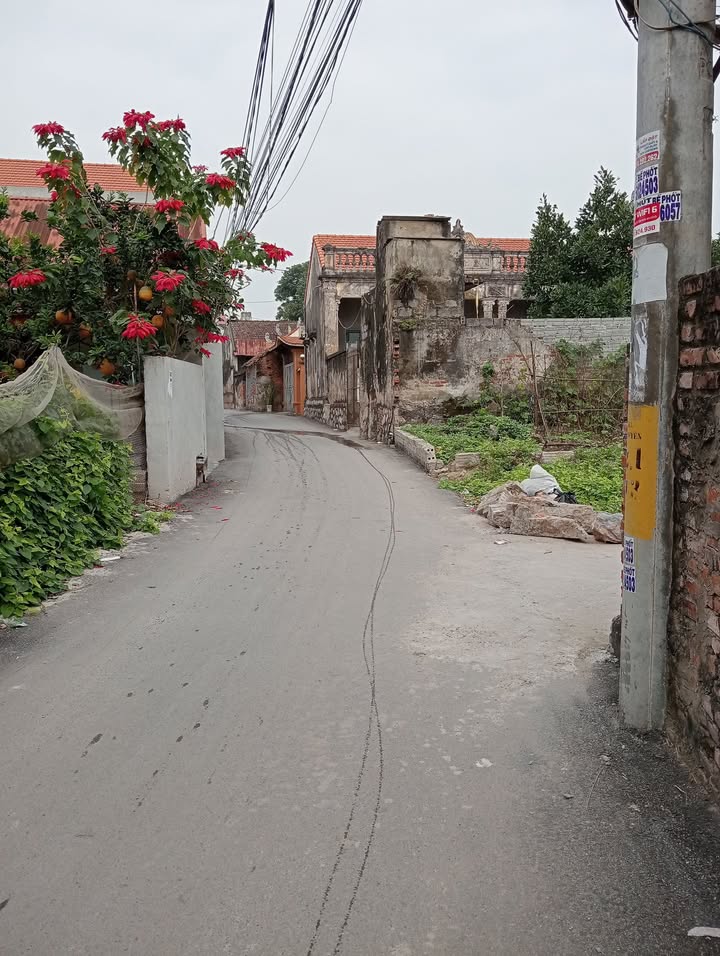 FrontHouse tại Phúc Tiến, Phú Xuyên 48.3m² giá 2.5 tỷ - Mặt tiền kinh doanh đắc địa!