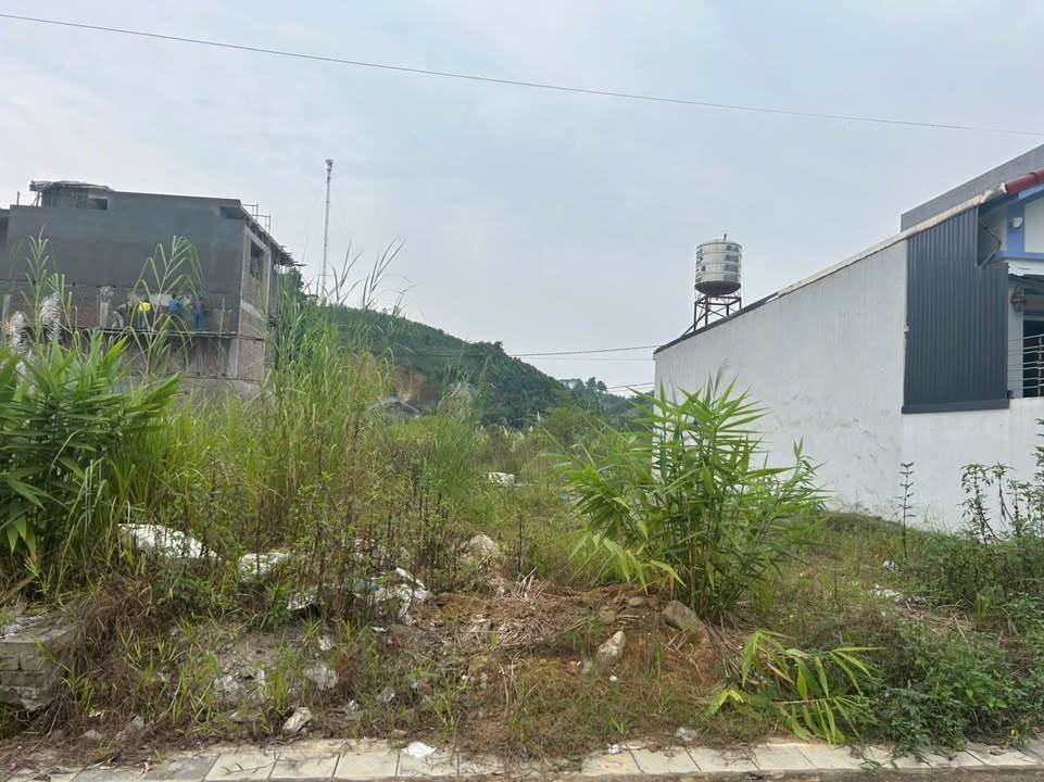 Đất nền TĐC Động Lực Nghĩa Lộ 160m² giá 6 tỷ - Vị trí đắc địa, thuận lợi kinh doanh!