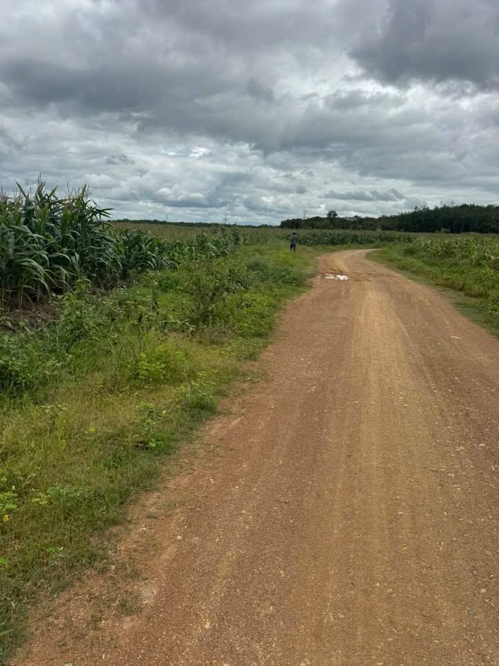 Đất nền xã Ea Pô, huyện Cư Jút, 150.000m² giá 9.6 tỷ - Sổ đỏ chính chủ!