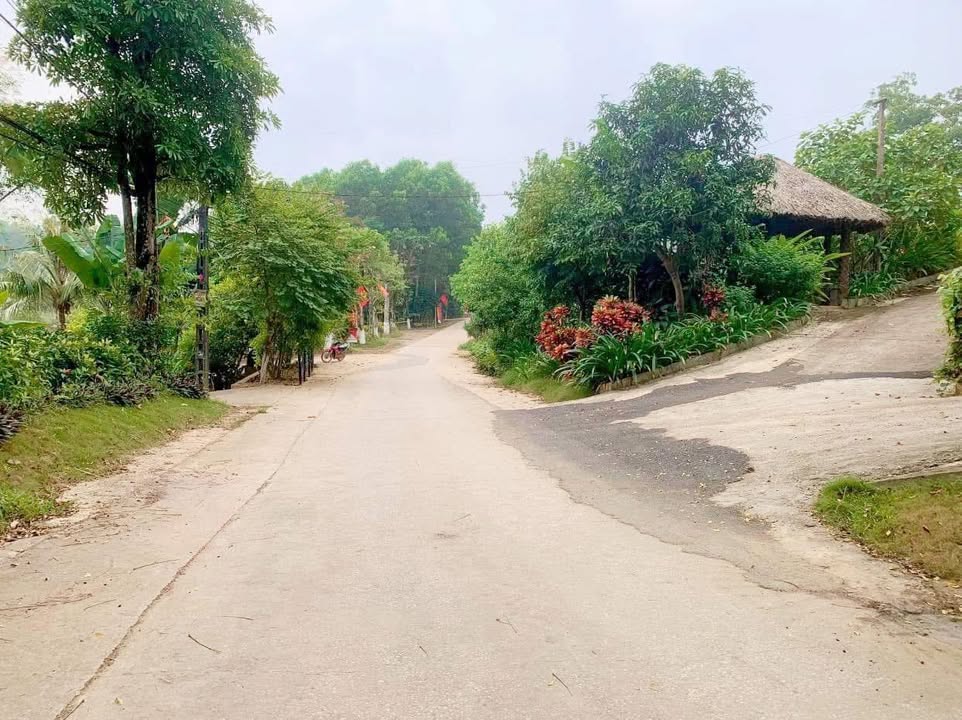 Đất nền 1000m² tại Trung Giáp, Phú Thọ - Giá chỉ 1 tỷ, đường ô tô tránh nhau!