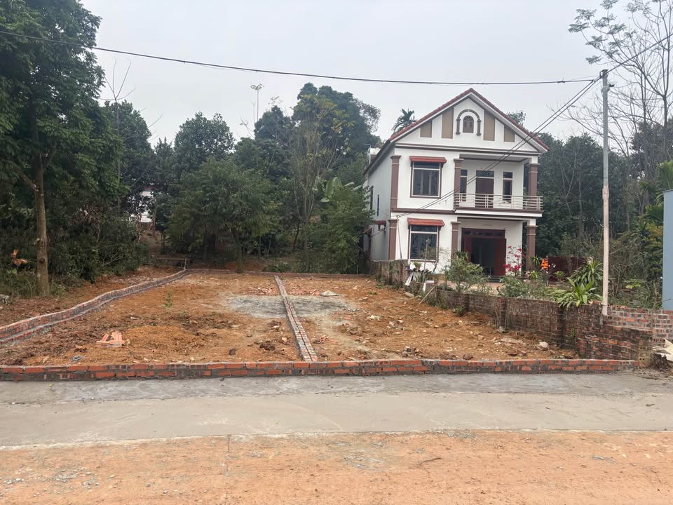 Đất thổ cư Khu 7 Xã Thanh Đình 115m² giá 1 tỷ - Đầu tư sinh lời tốt!