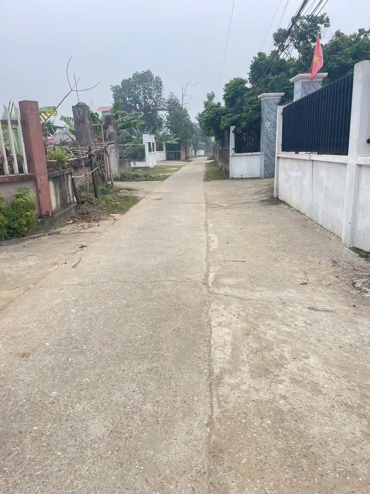 Đất công nghiệp Xã Danh Thắng, Huyện Hiệp Hòa, 117m² - Đầu tư sinh lời tiềm năng!