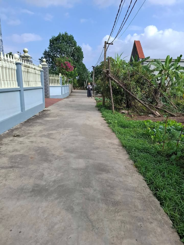 Đất nền Kim Đính, Kim Thành 80m² giá 400 triệu - Cơ hội đầu tư tuyệt vời!