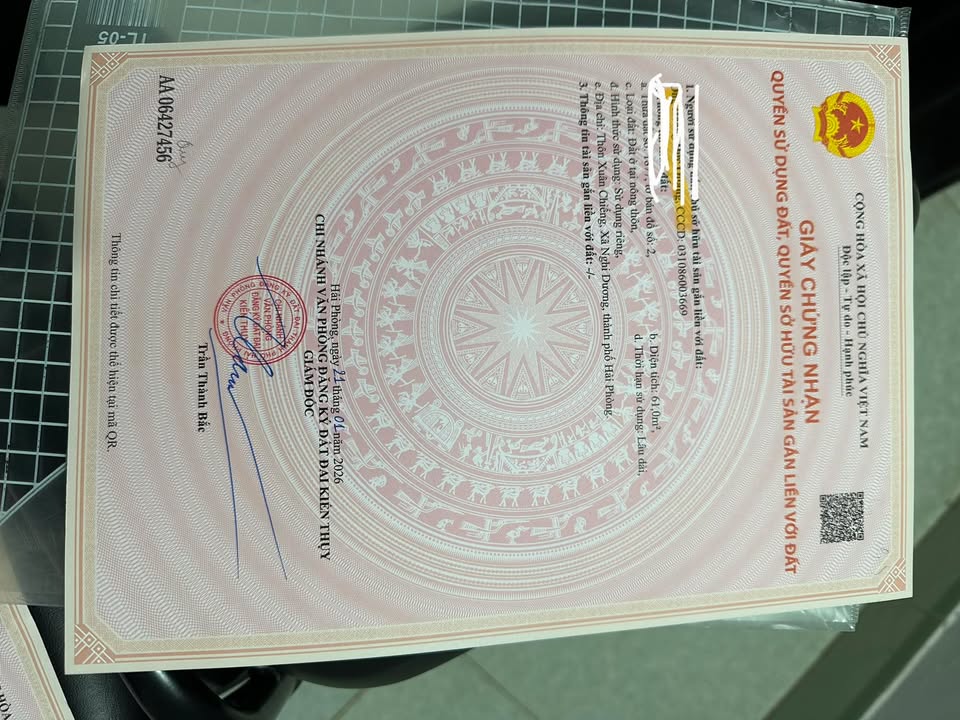 Đất nền chính chủ Ngũ Phúc, 60m² giá chỉ 9xx triệu - Đón sóng đầu tư!