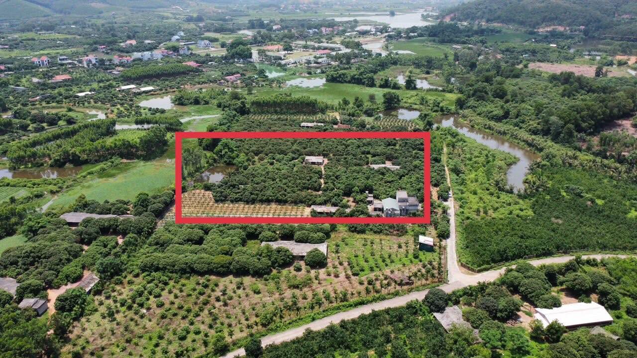 Farm diện tích 1,1ha tại Hoàng Hoa Thám, Chí Linh - Địa thế tuyệt đẹp, giá thỏa thuận!