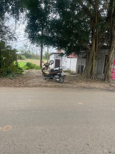 Đất nền mặt đường TL 315, Huyện Tam Nông, 100m² - Giá mềm cho nhà đầu tư!